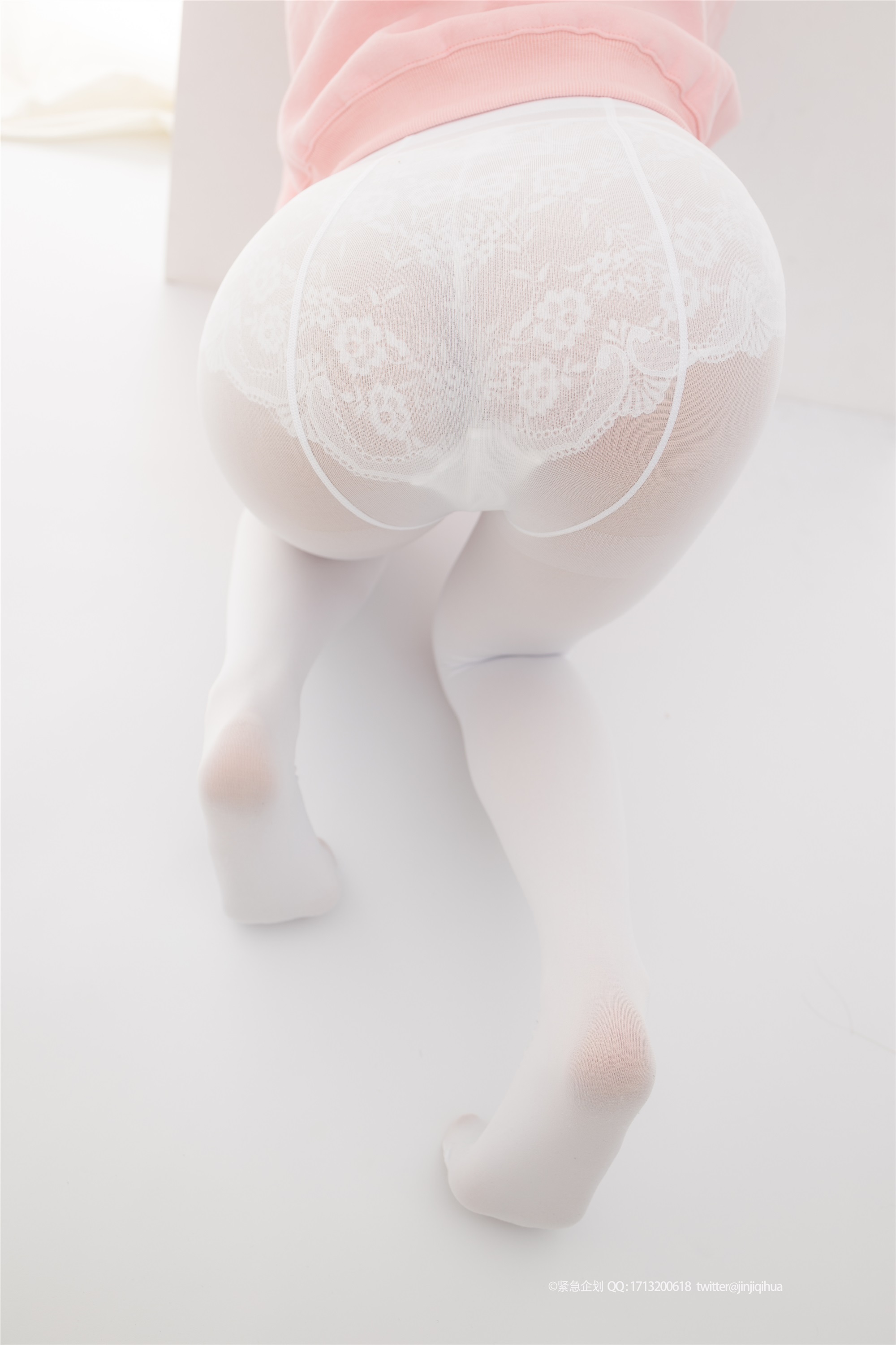 紧急企划  NO.012 一只喵喵梓